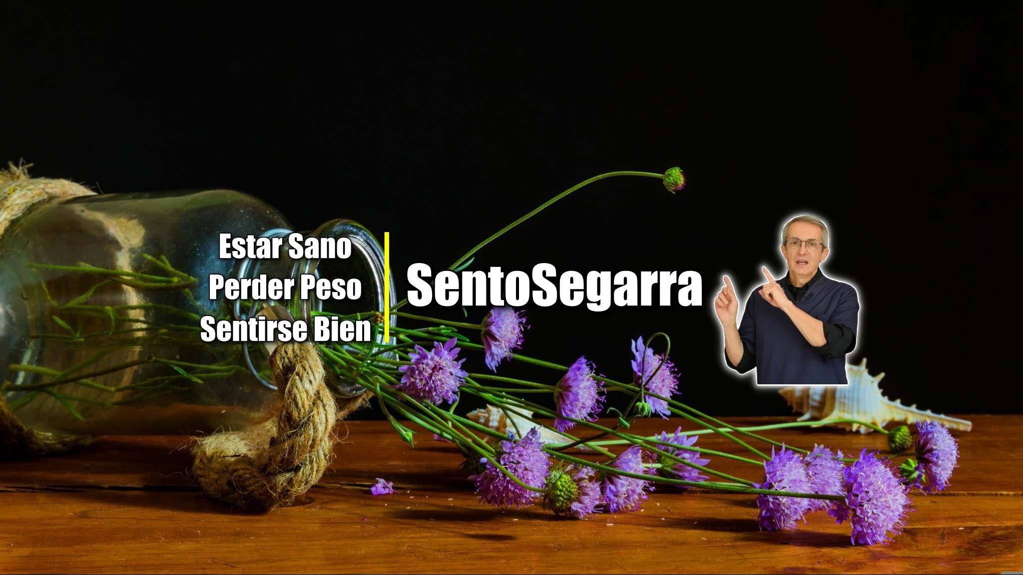 Sento Farmacéutico YouTube banner