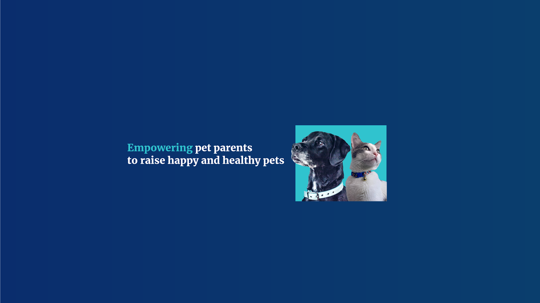 Healthcare for Pets YouTube banner