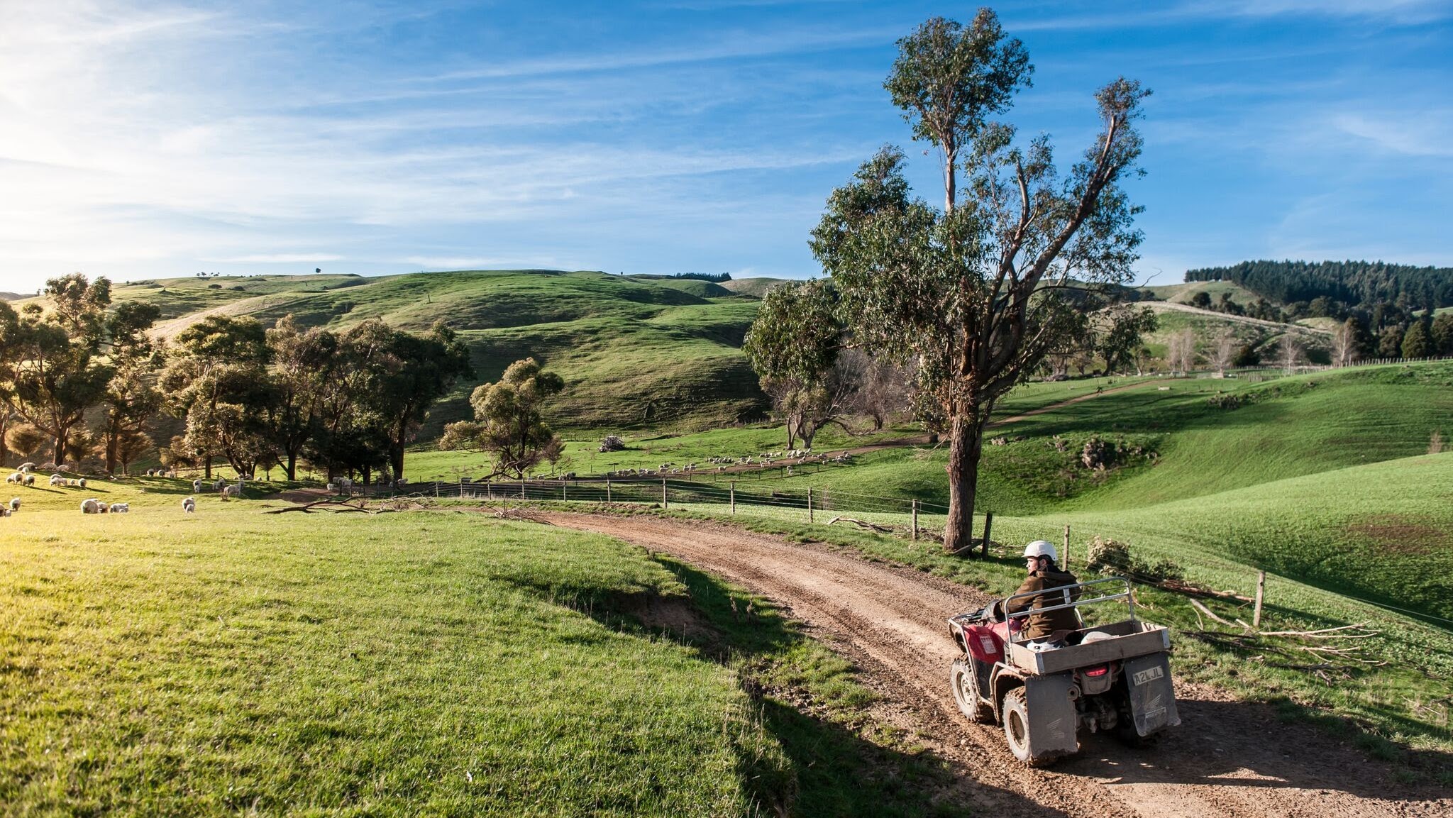 Beef + Lamb New Zealand YouTube banner