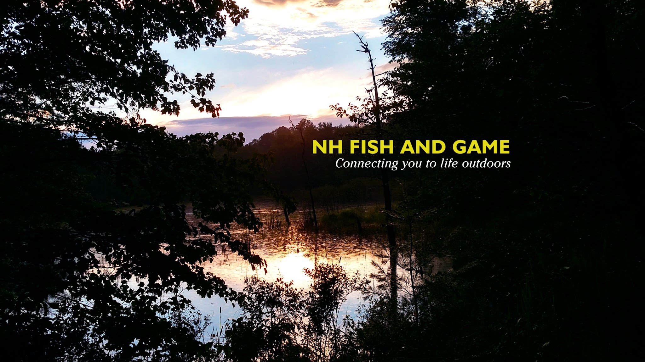 NHFishandGame YouTube banner