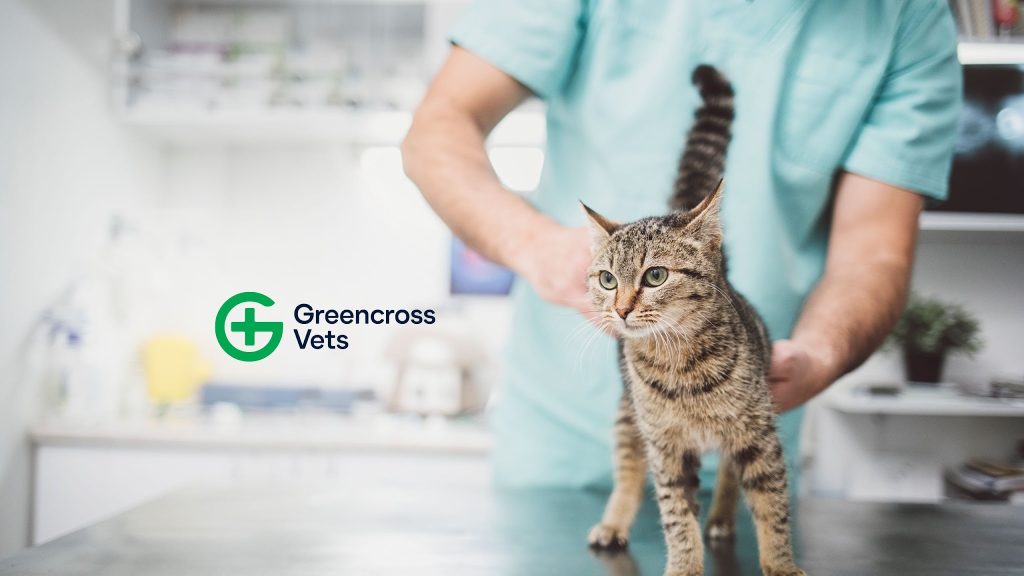 Greencross Vets YouTube banner