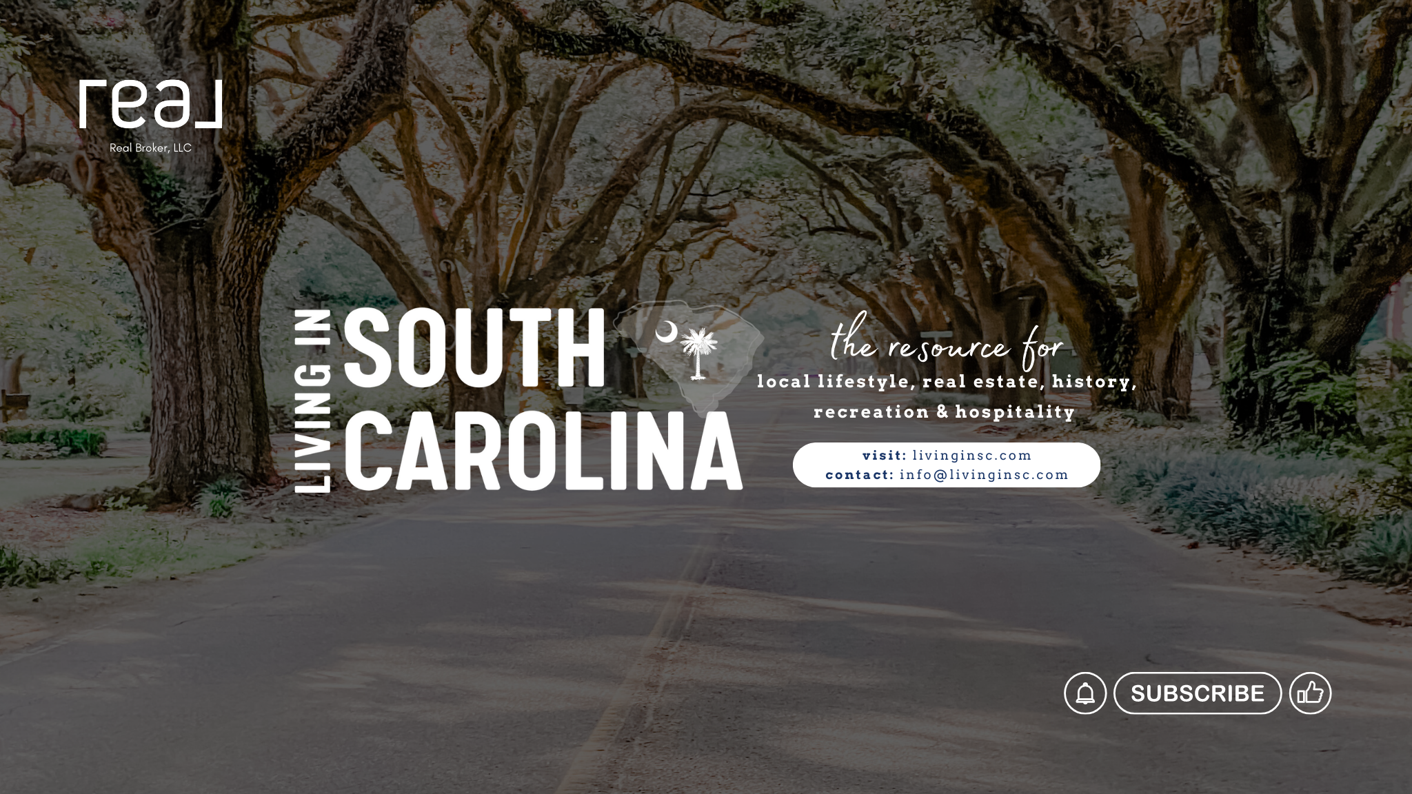 Living In South Carolina YouTube banner