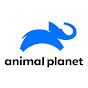 Animal Planet UK YouTube thumbnail