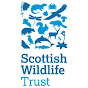 Scottish Wildlife Trust YouTube channel avatar 