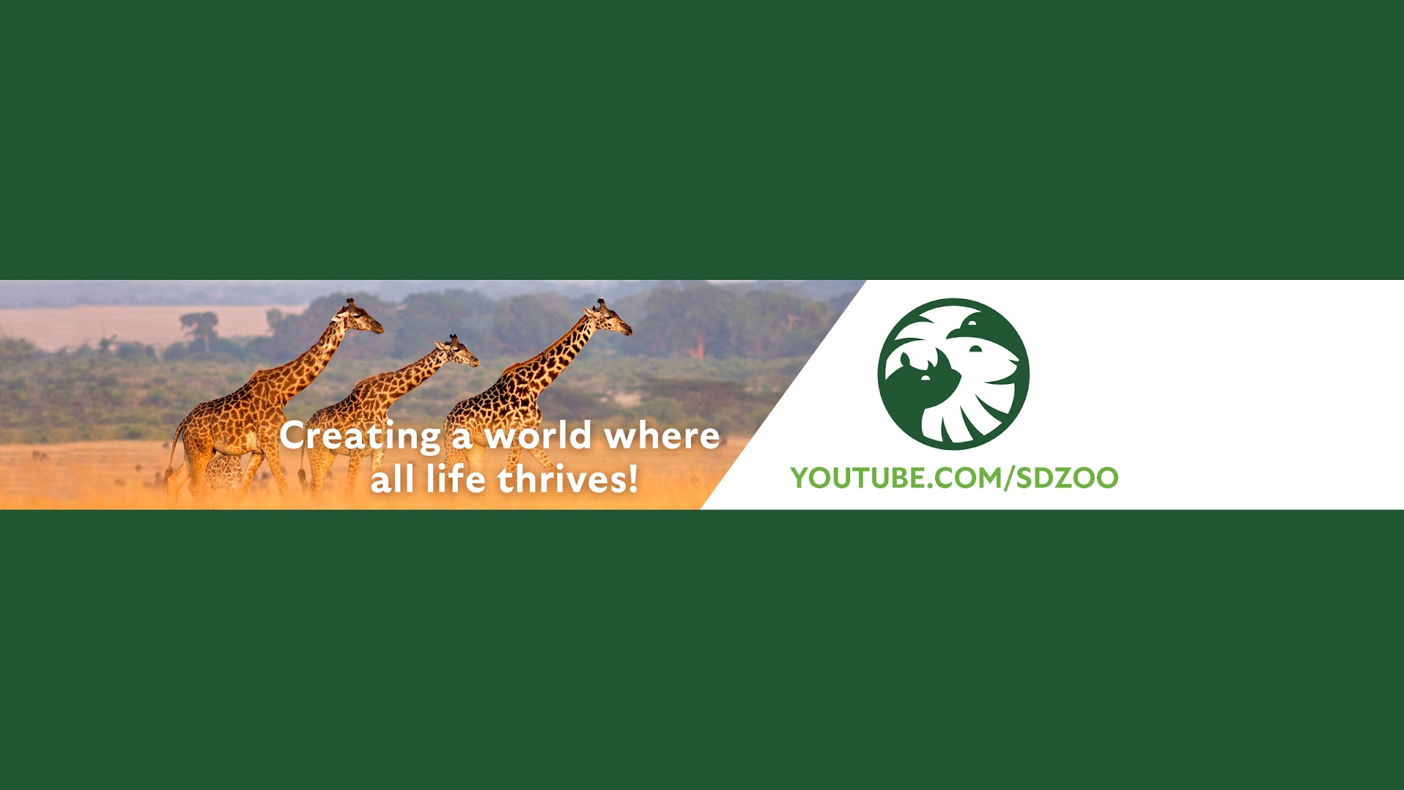 San Diego Zoo Kids YouTube banner