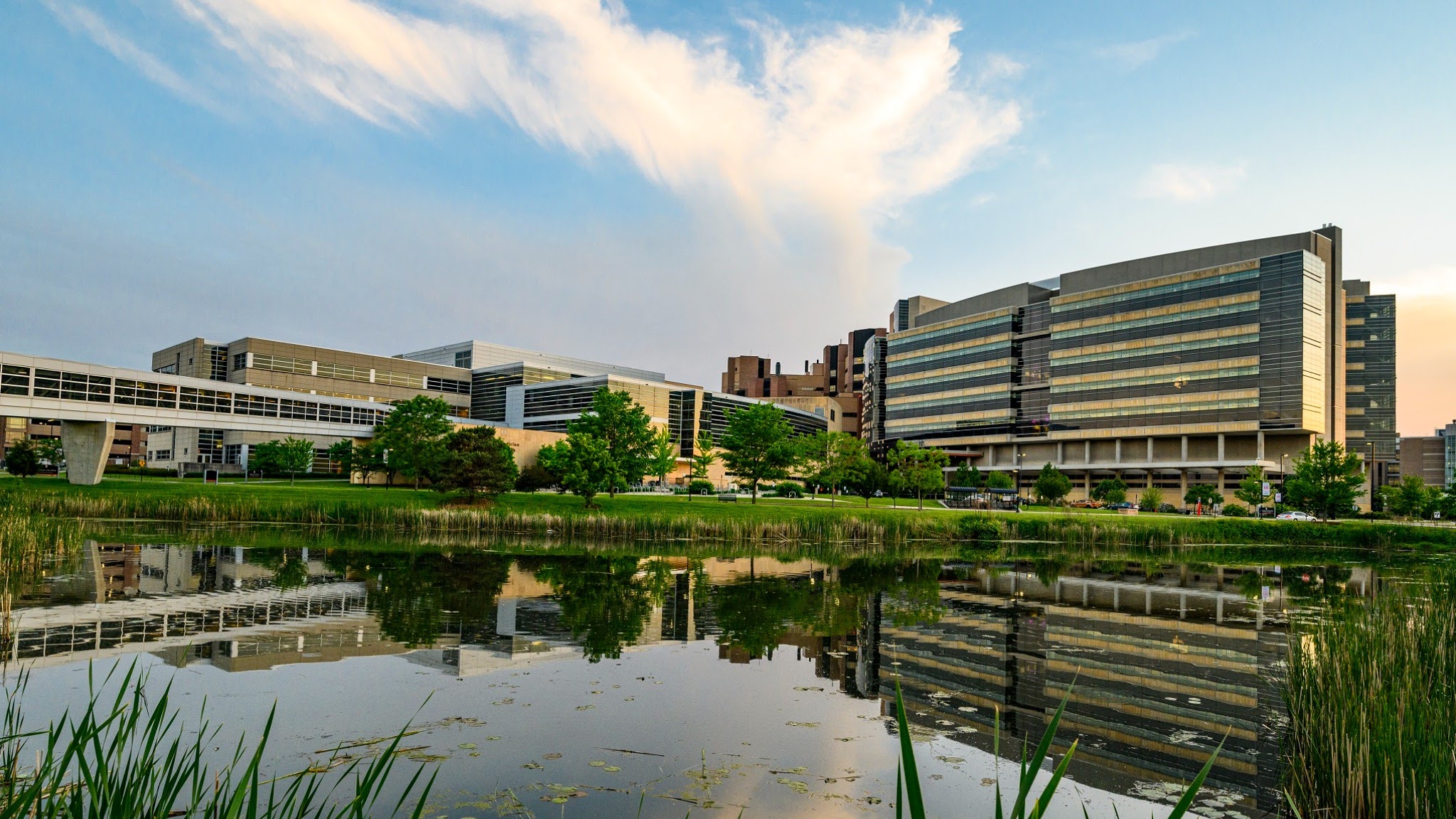 UW School of Medicine and Public Health YouTube banner