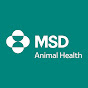 MSD Animal Health YouTube thumbnail