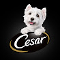 CESAR Canine Cuisine YouTube thumbnail