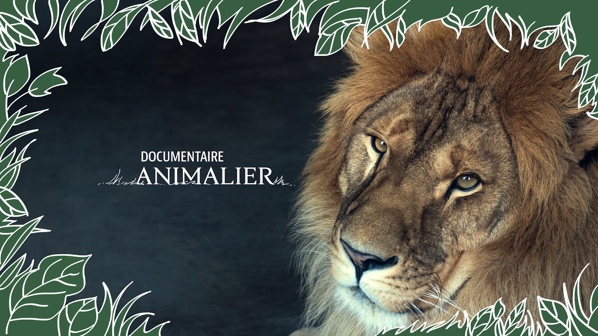 Documentaire Animalier YouTube banner