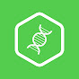 Biologie - simpleclub YouTube channel avatar 