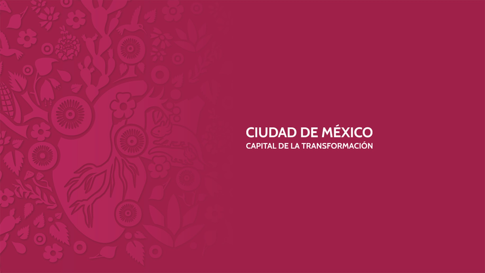 C5 CDMX YouTube banner