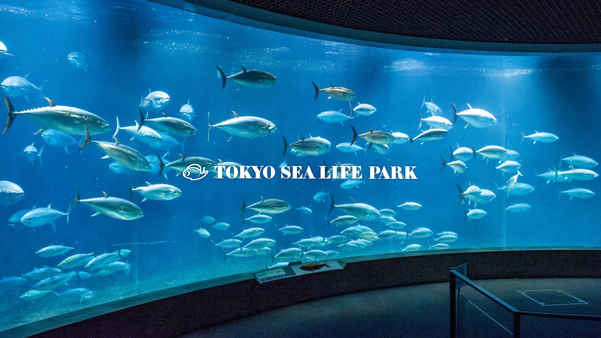 葛西臨海水族園公式チャンネル YouTube banner