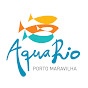 Aquário Marinho do Rio YouTube channel avatar 