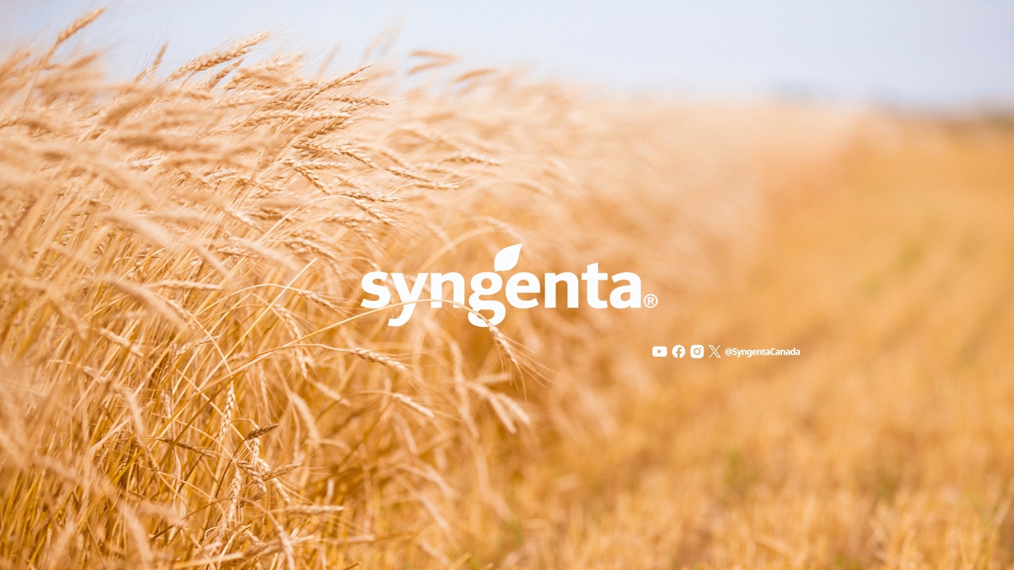 SyngentaCanada YouTube banner