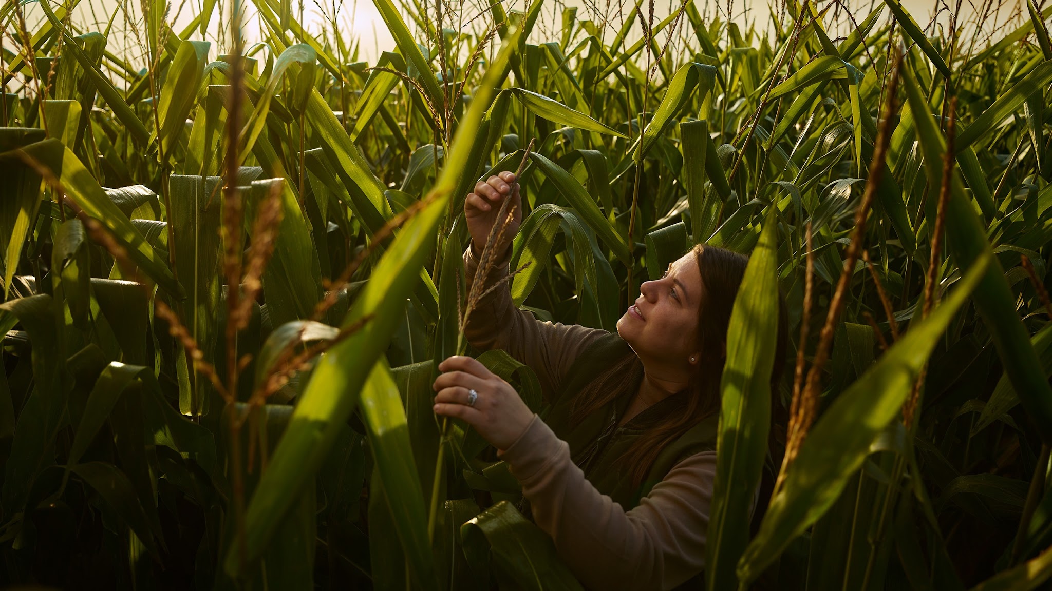 Corteva Agriscience YouTube banner