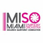 Miami Symphony YouTube thumbnail