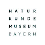 Naturkundemuseum Bayern | BIOTOPIA Lab YouTube channel avatar 