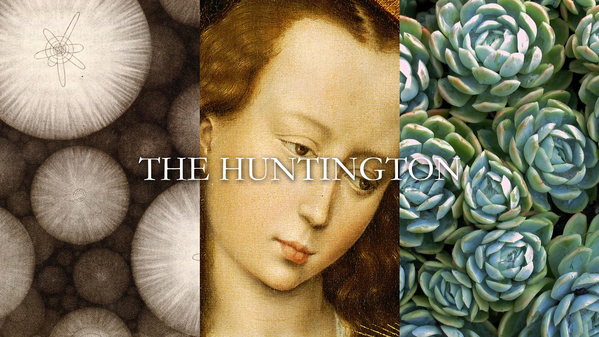 The Huntington YouTube banner