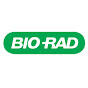 Bio-Rad Diagnostics YouTube channel avatar 