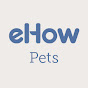 eHowPets YouTube thumbnail