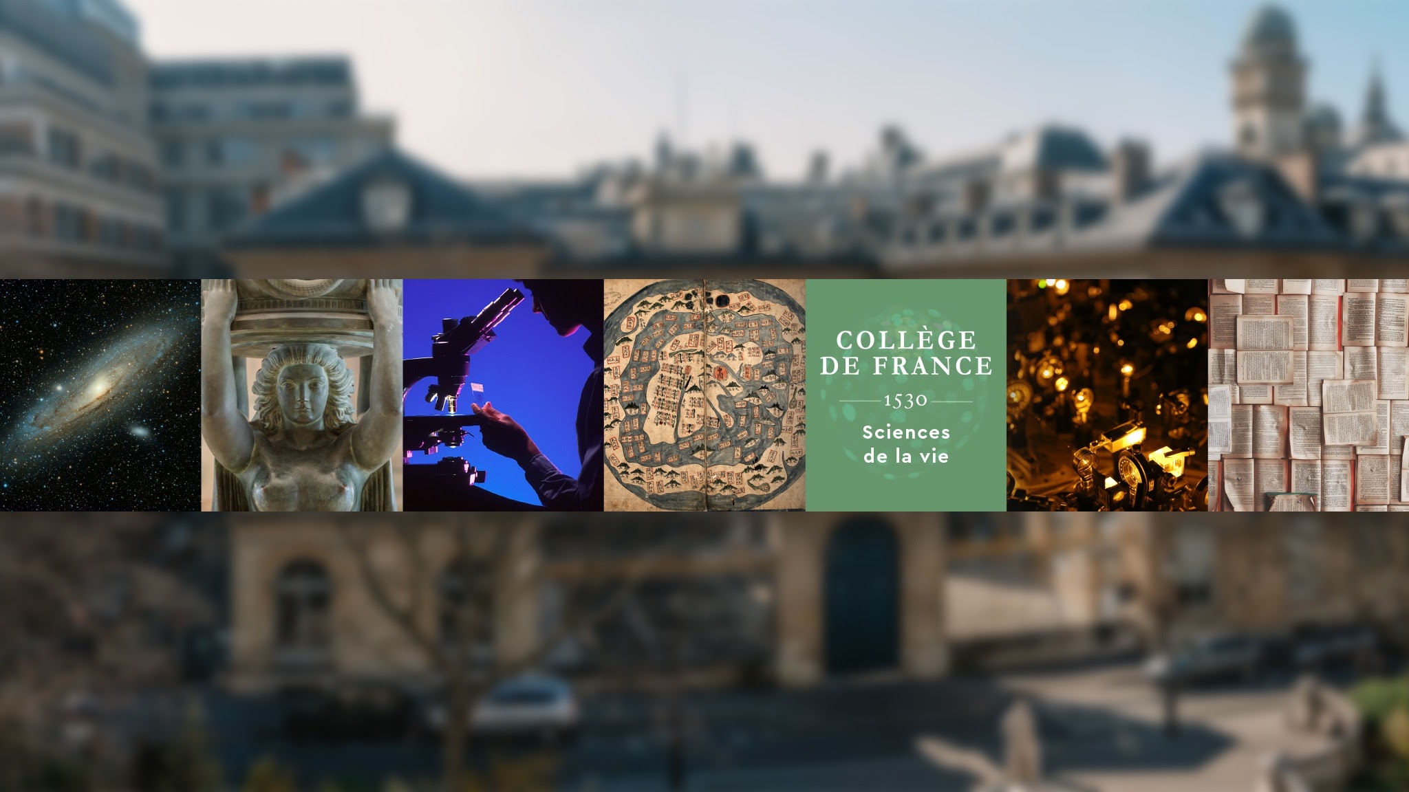 Sciences de la vie - Collège de France YouTube banner