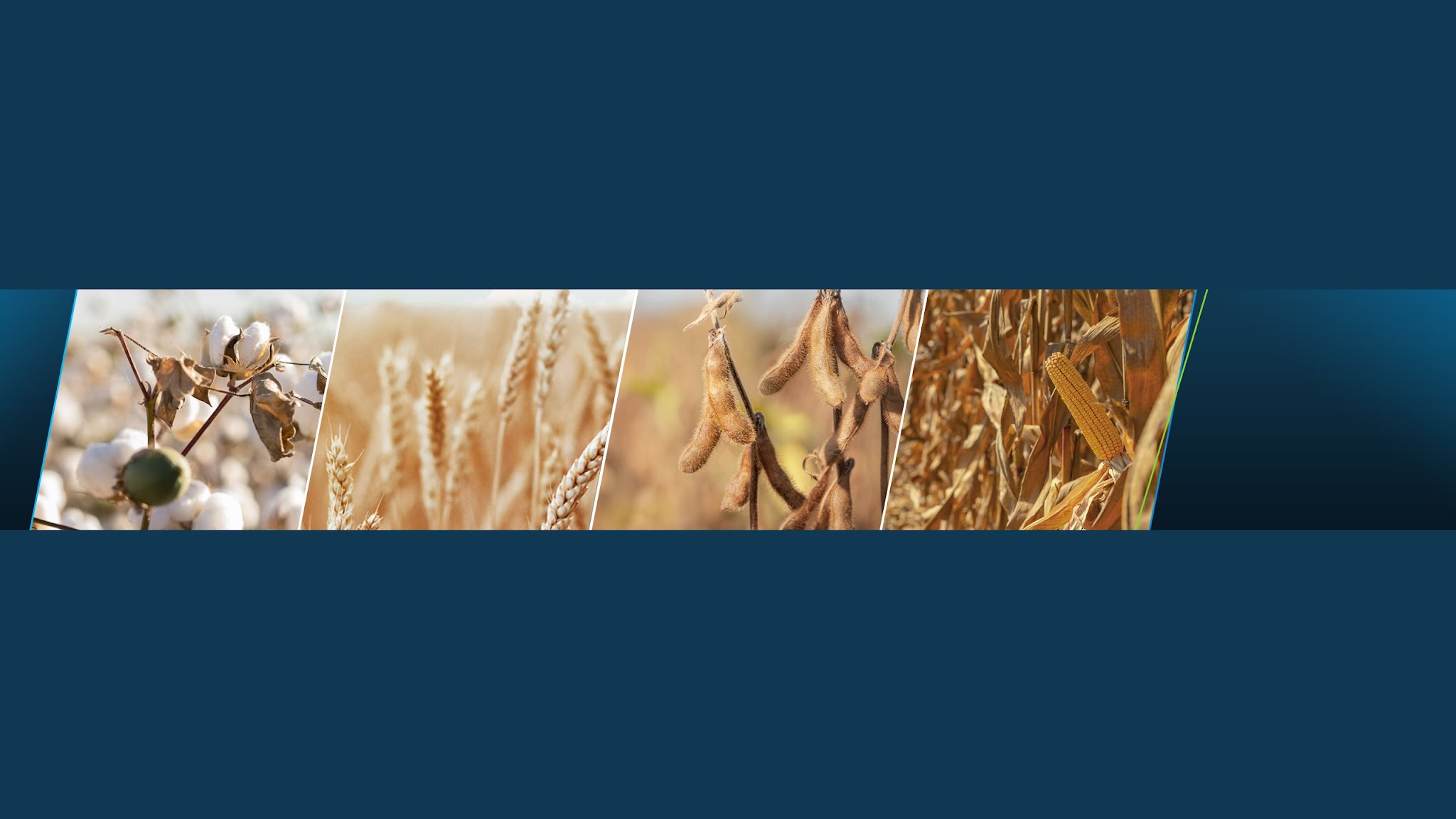 Bayer Crop Science US YouTube banner