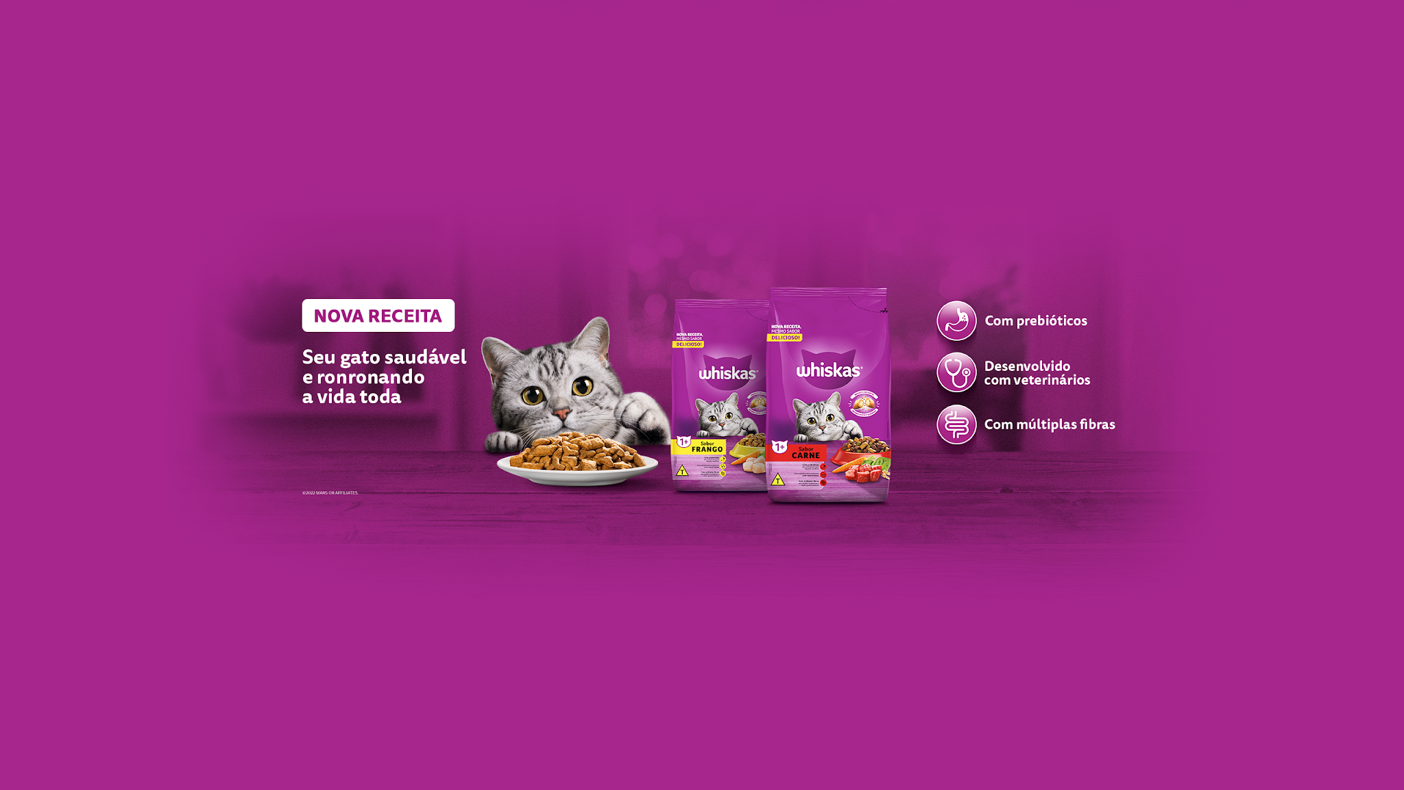 WhiskasBrasil YouTube banner