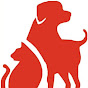 National Veterinary Clinic  YouTube channel avatar 