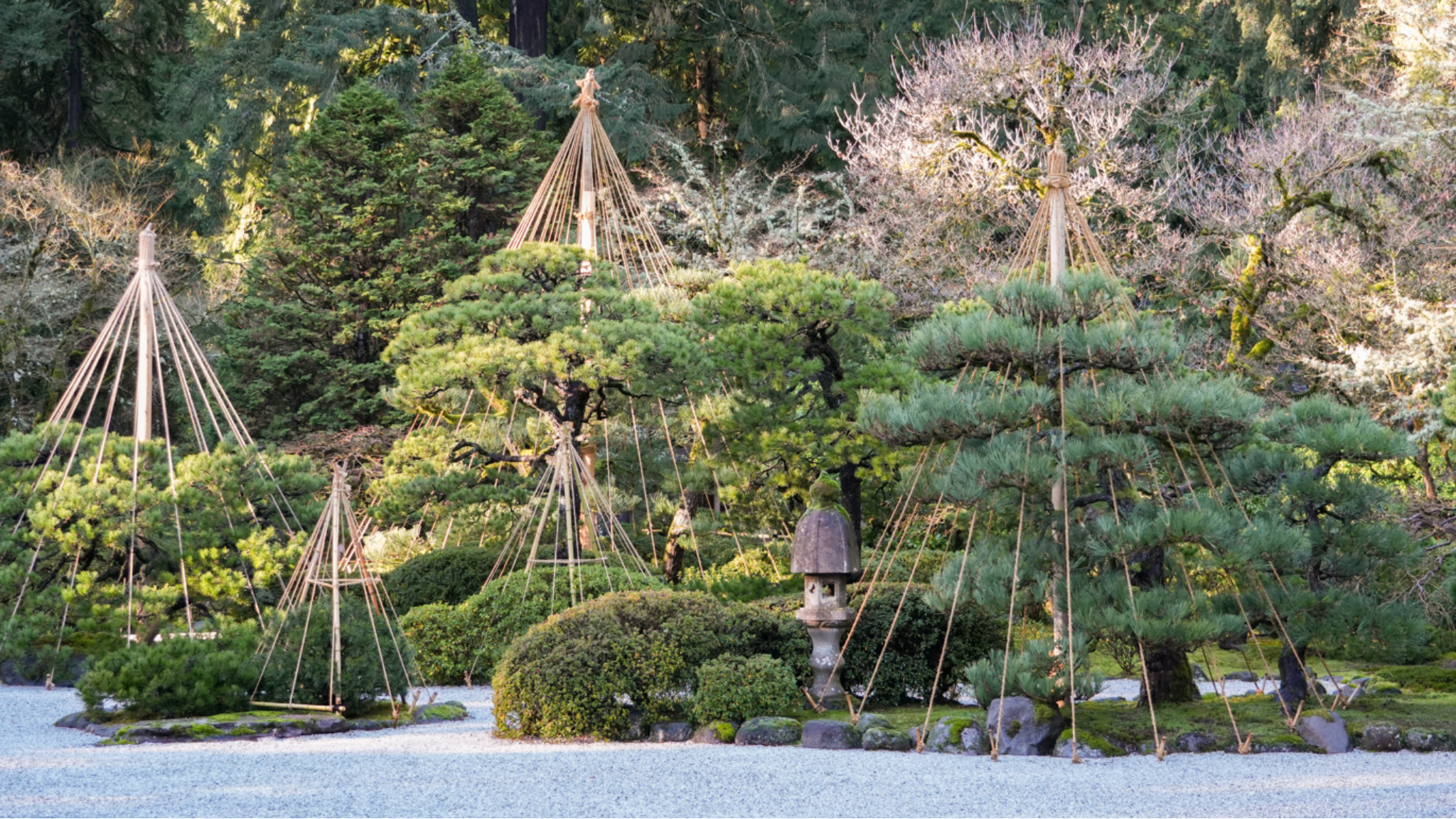 Portland Japanese Garden YouTube banner