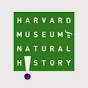 Harvard Museum of Natural History YouTube channel avatar 