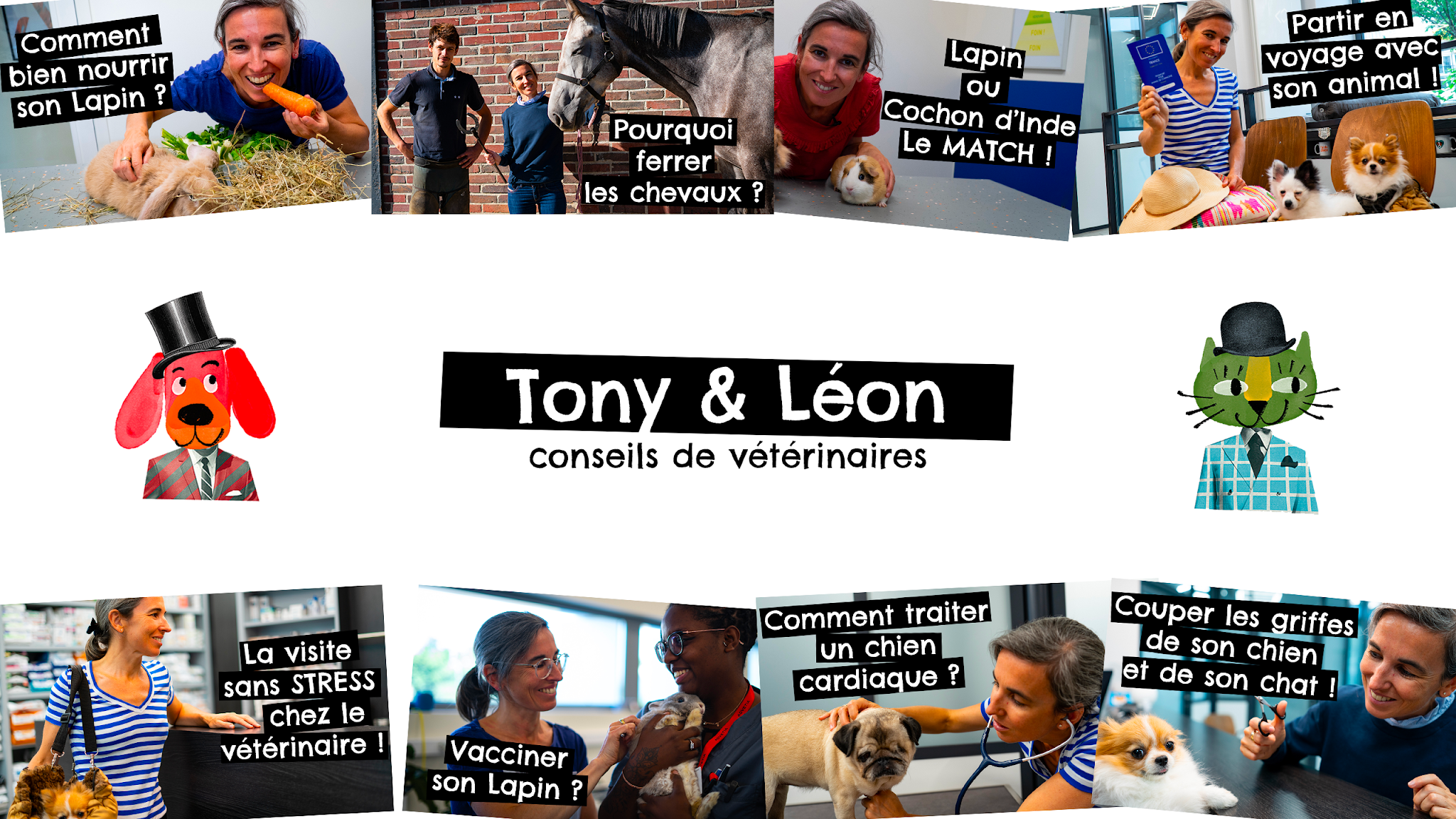 Conseils  vétérinaires par Tony et Léon YouTube banner