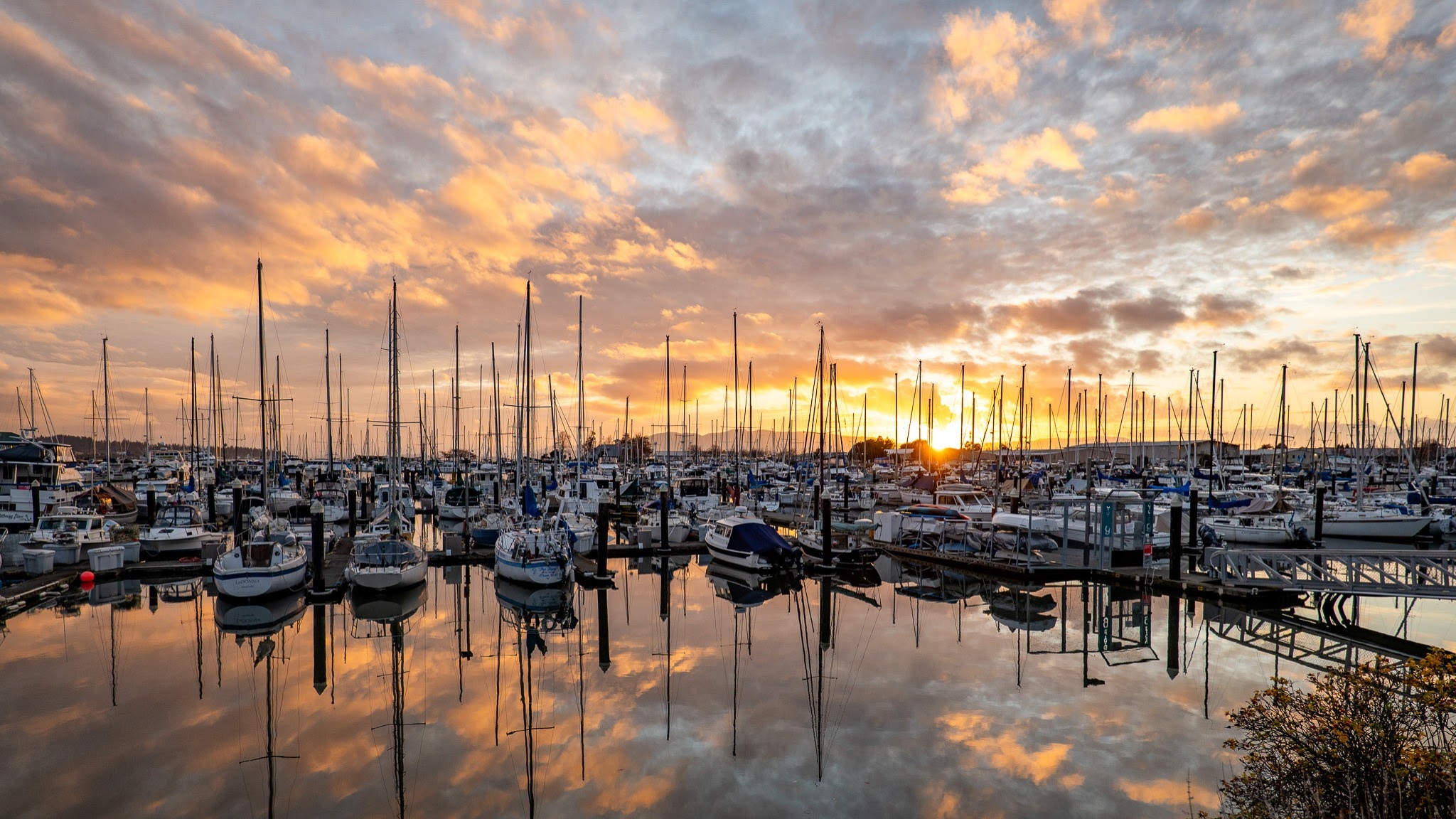 Port of Bellingham YouTube banner