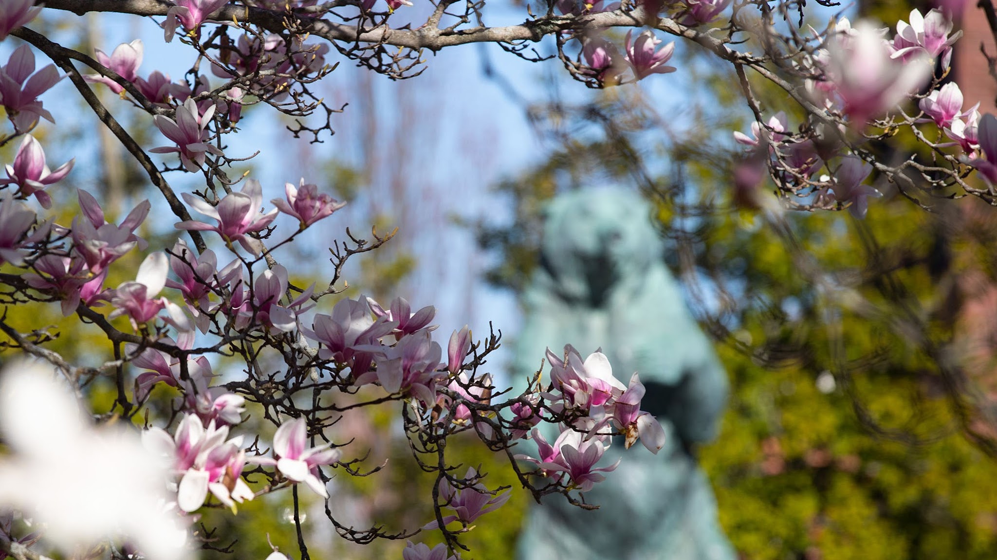 Brown University YouTube banner