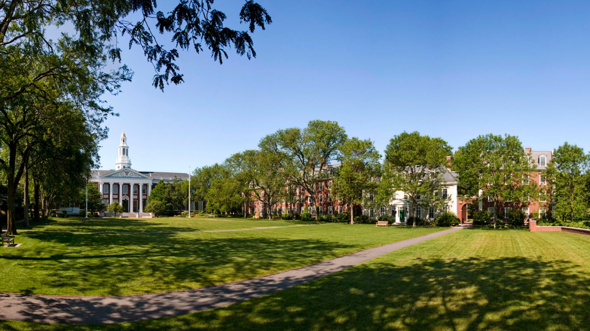 Harvard Business School YouTube banner