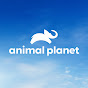 Animal Planet YouTube channel avatar 