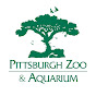 Pittsburgh Zoo & Aquarium YouTube thumbnail