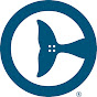 Clearwater Marine Aquarium YouTube channel avatar 