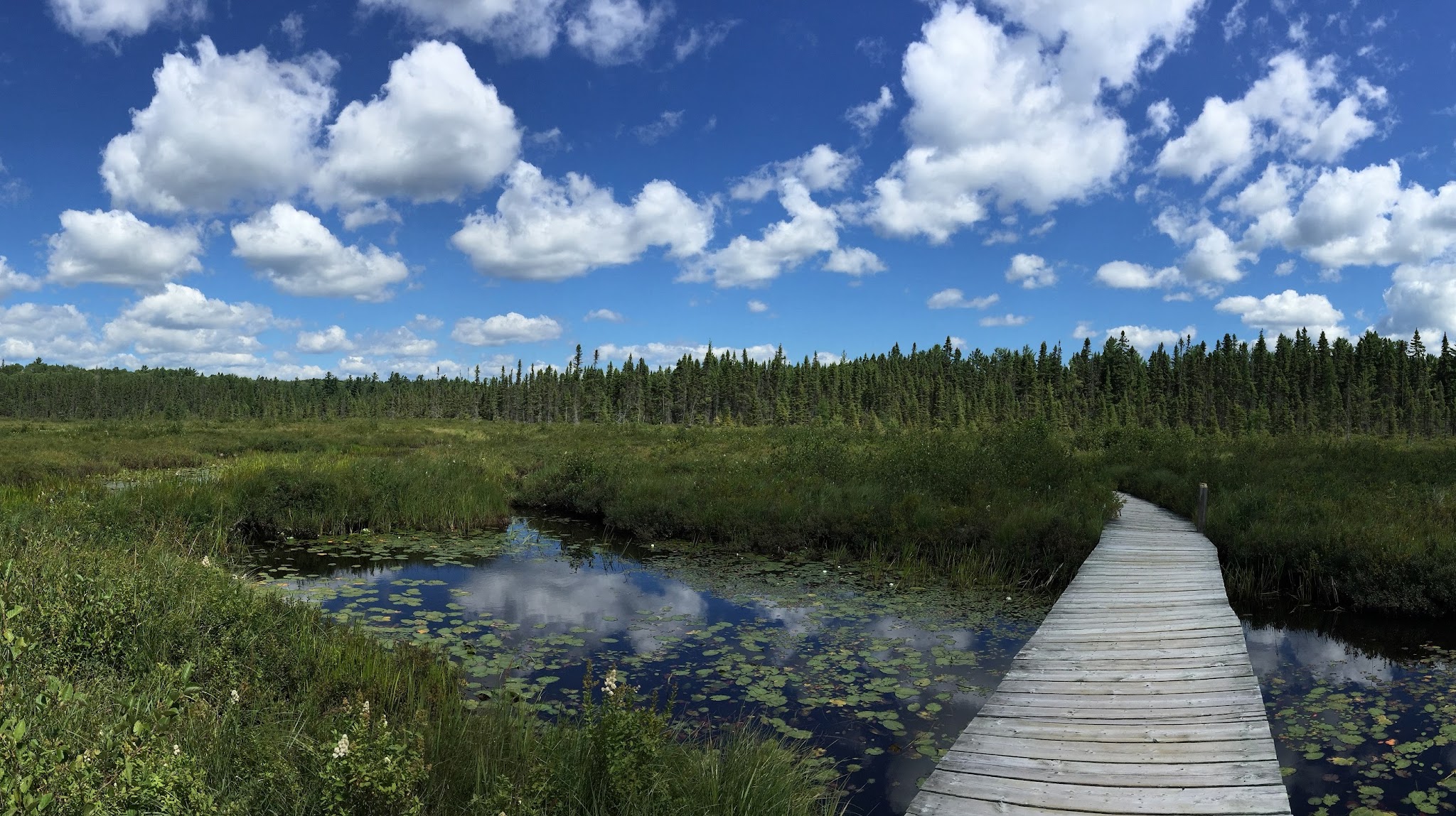 Ontario Parks | Parcs Ontario YouTube banner