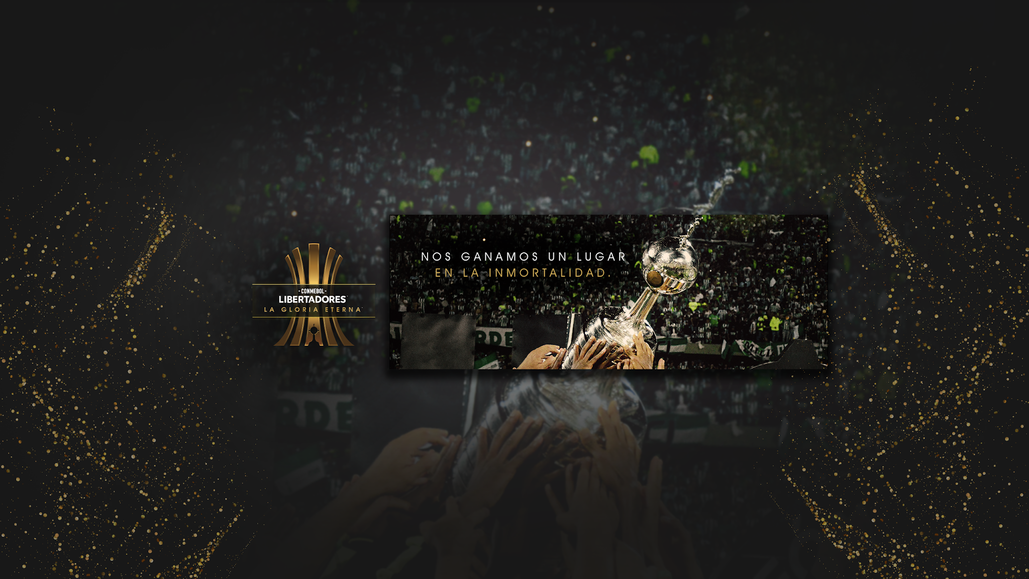 CONMEBOL Libertadores YouTube banner