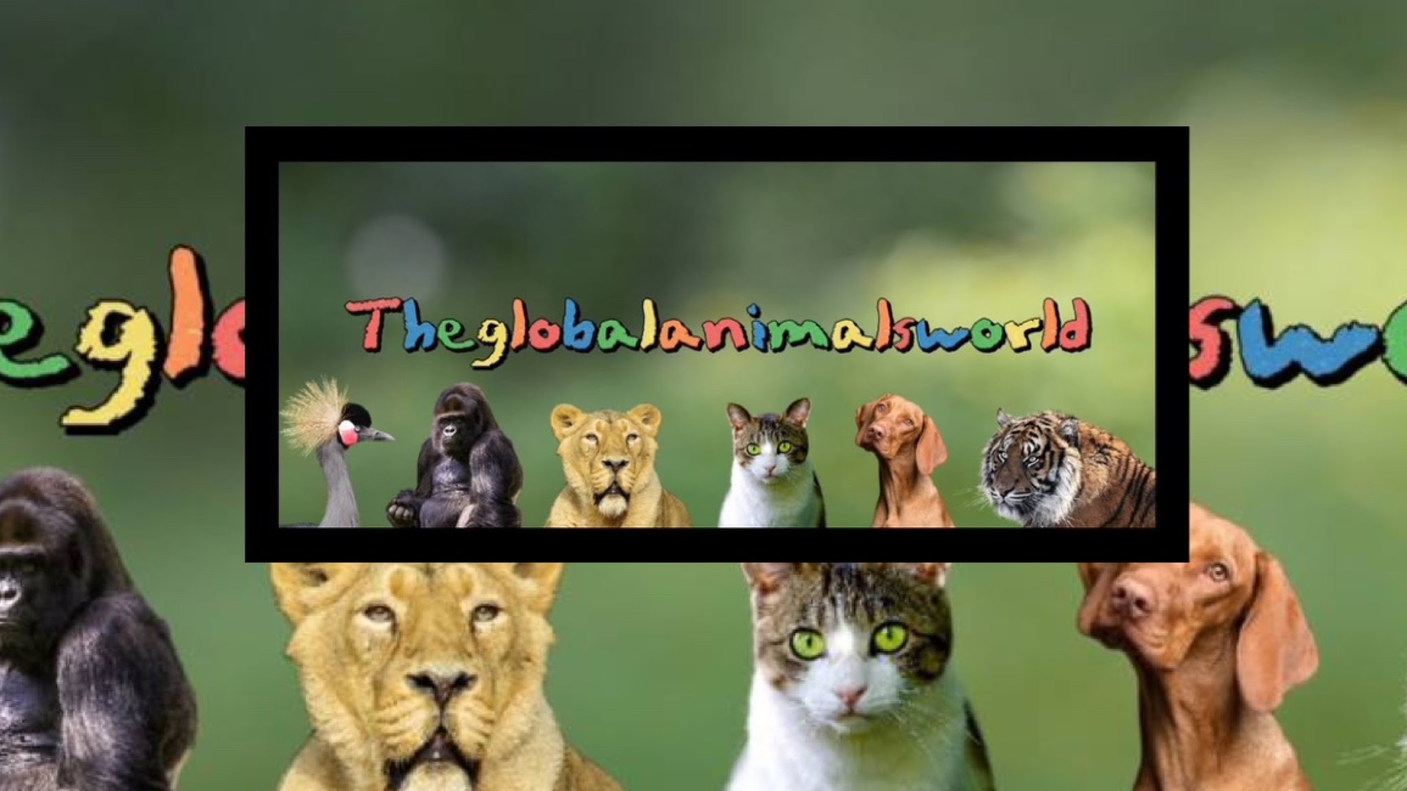 The Global Animals World YouTube banner