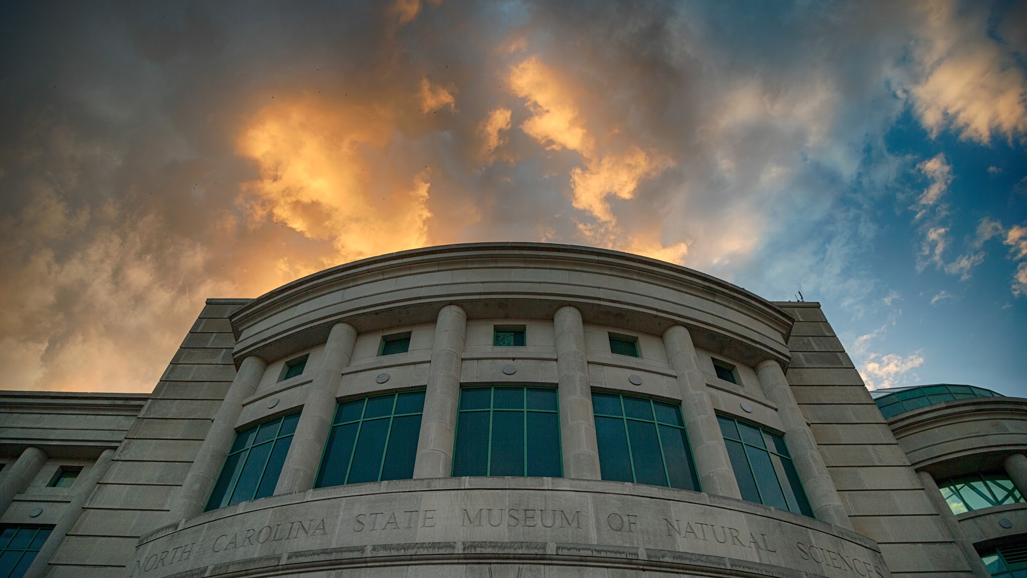 North Carolina Museum of Natural Sciences YouTube banner