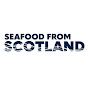 Seafood From Scotland YouTube channel avatar 