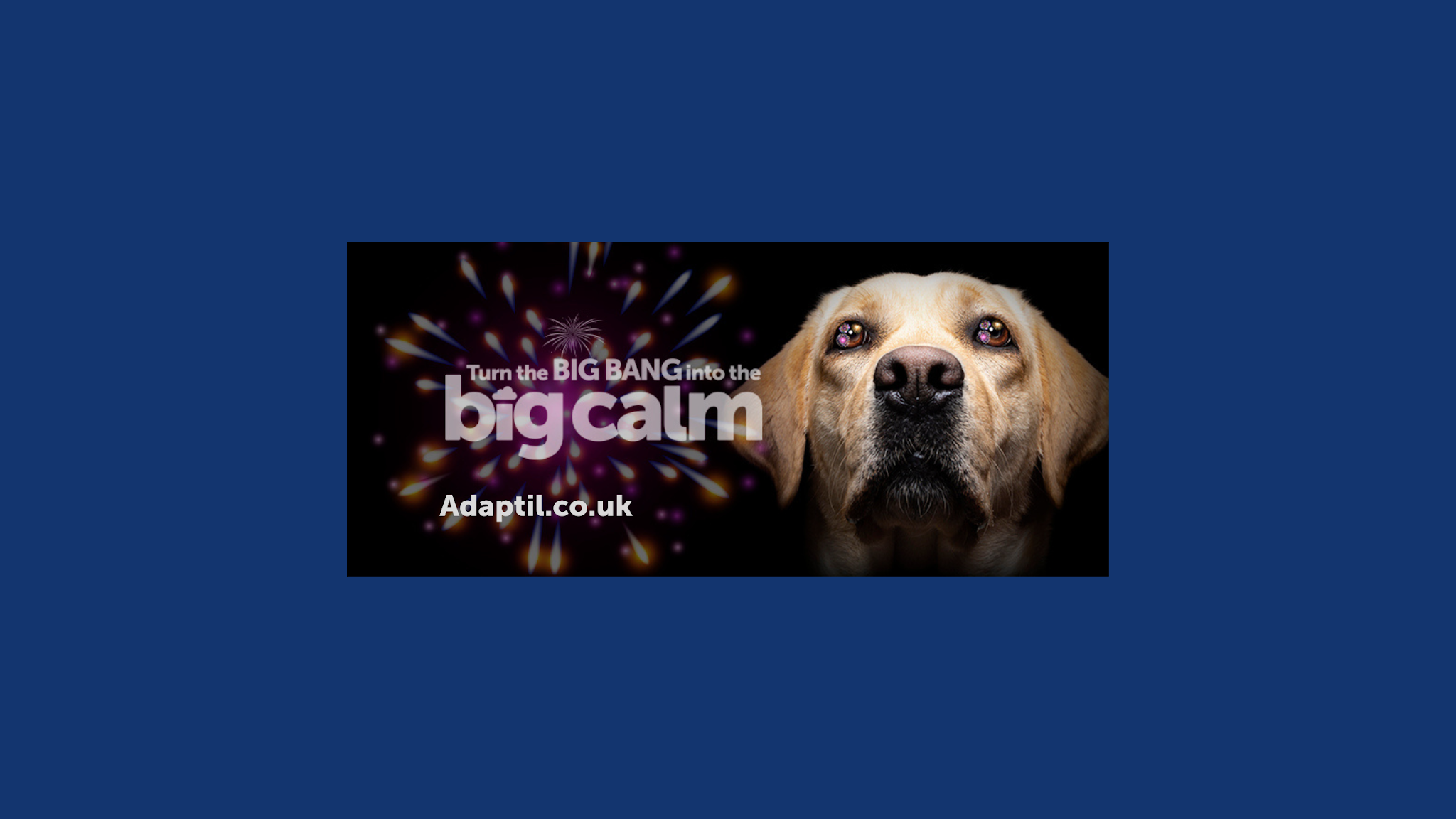 ADAPTIL for Dogs YouTube banner