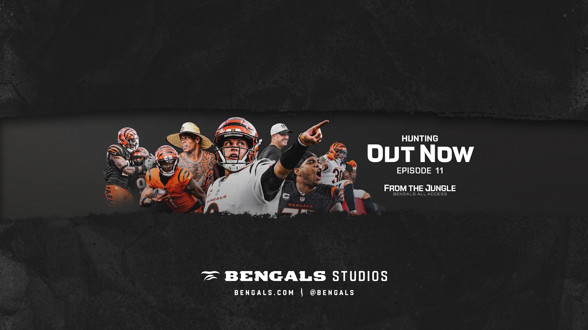 Cincinnati Bengals YouTube banner