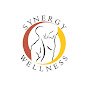 Synergy Wellness Chiropractic & Physical Therapy PLLC YouTube channel avatar 