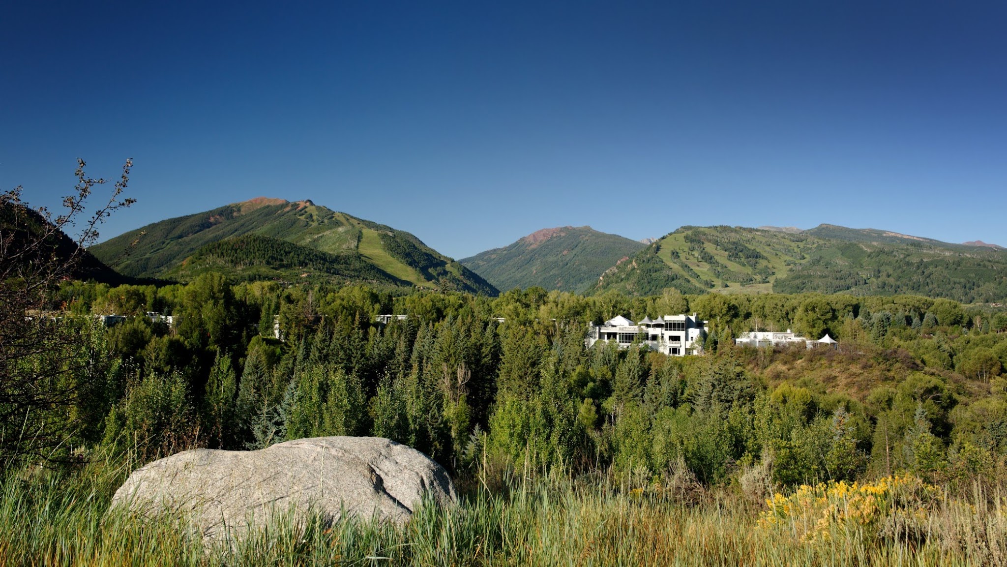 The Aspen Institute YouTube banner