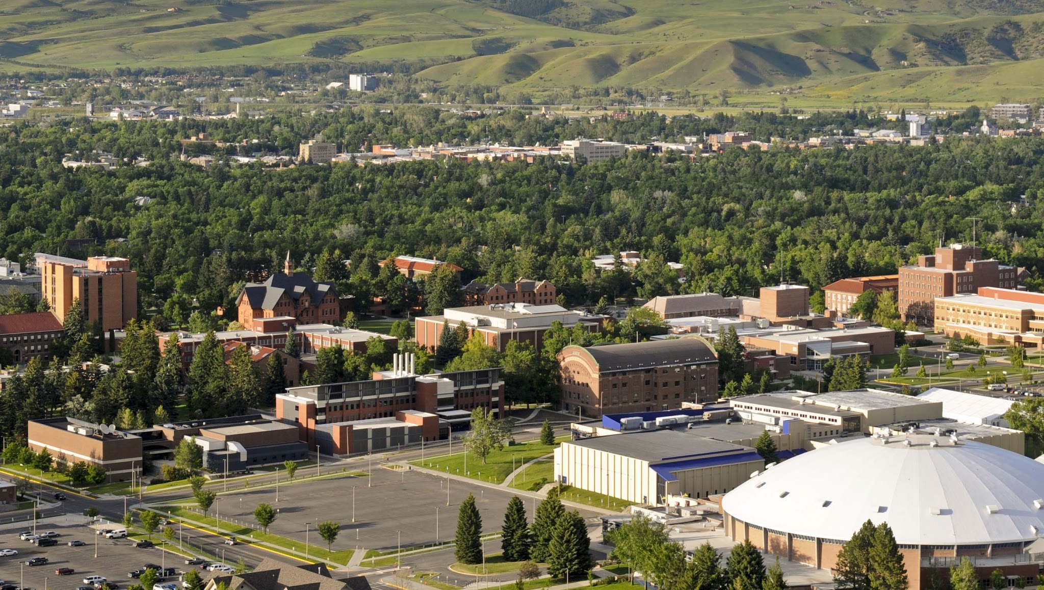 Montana State University YouTube banner