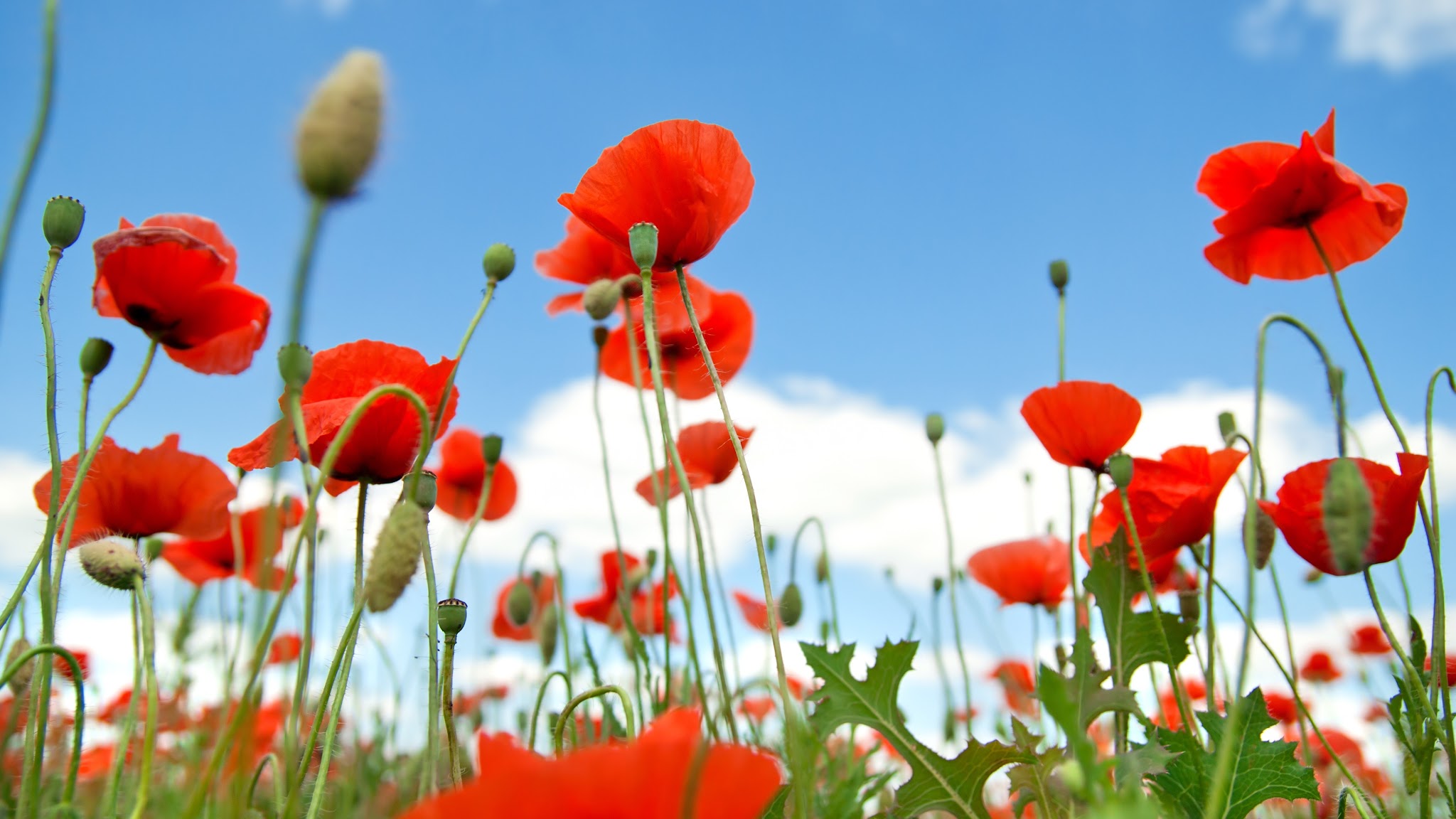 Royal Air Force Museum YouTube banner