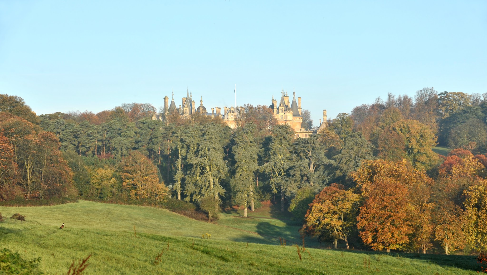 Waddesdon Manor YouTube banner