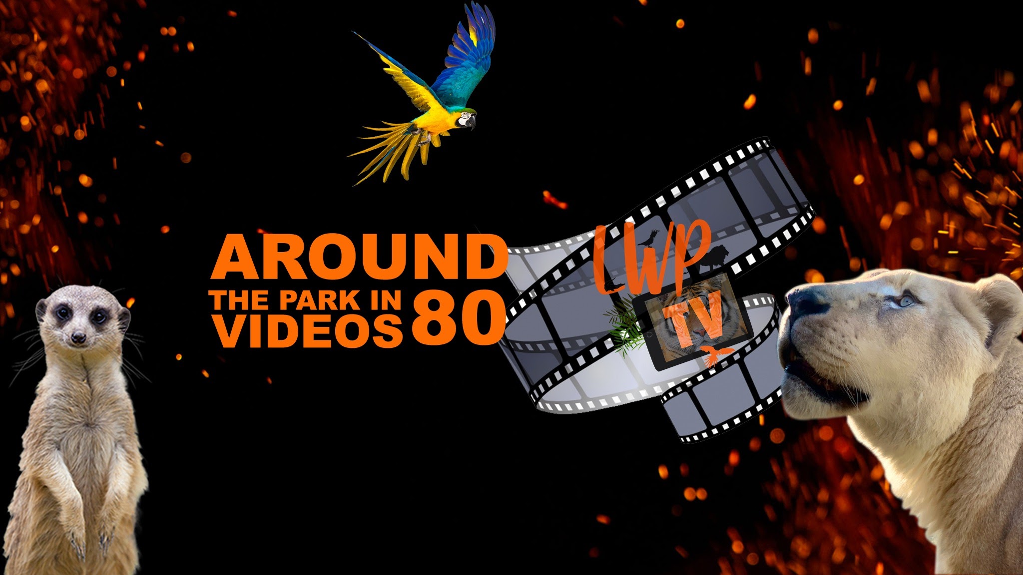 Lincolnshire Wildlife Park YouTube banner